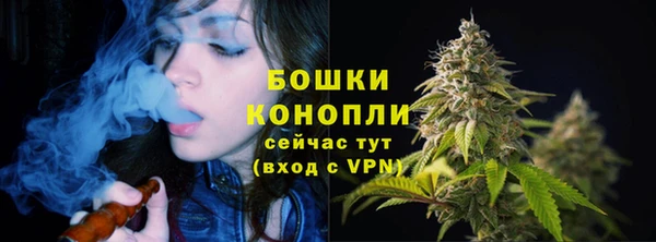 шишки Балабаново