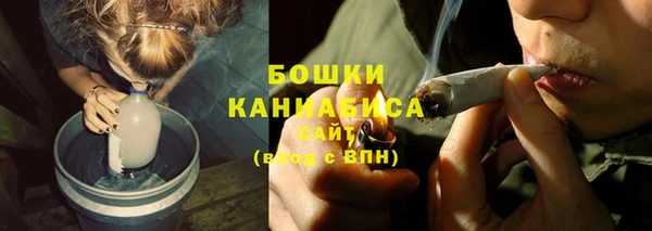 шишки Балабаново