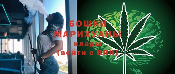 шишки Балабаново