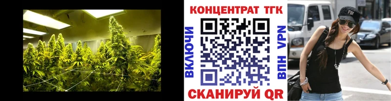 мега ссылка  Кстово  Дистиллят ТГК гашишное масло  дарнет шоп 